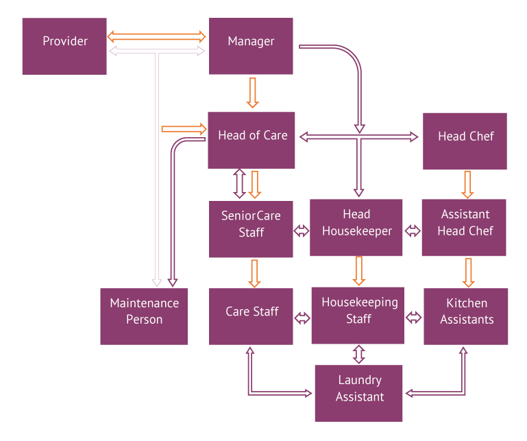 Team Structure